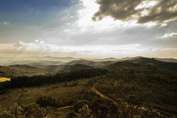 Planting a greener future